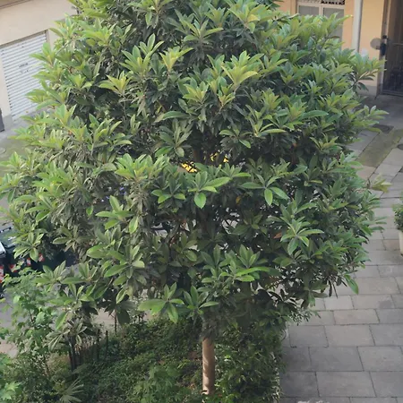 Apartment Regina 68 Turin